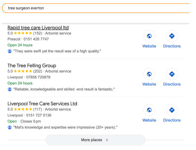 Image showing results for tree surgeon Everton using a Google Business Profile